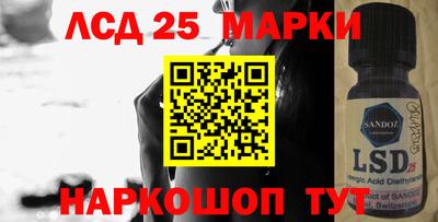 СК Вышний Волочёк