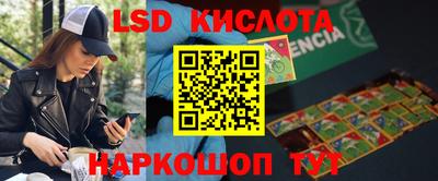 СК Вышний Волочёк