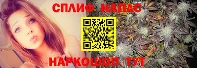 мдпв Вязьма