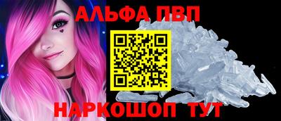 СК Вышний Волочёк